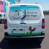 Rotulación puerta trasera de coche o furgoneta
