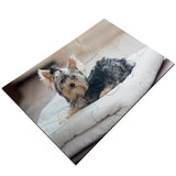 Puzzle personalizado rectangular 9 piezas